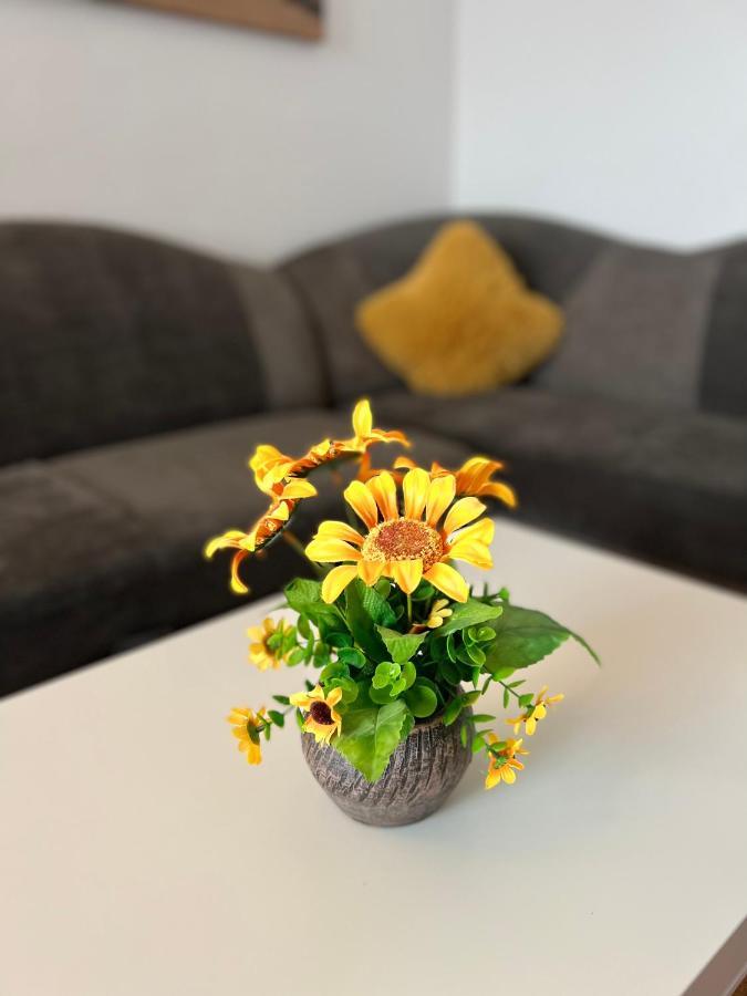 Appartamento House51 Braşov Esterno foto