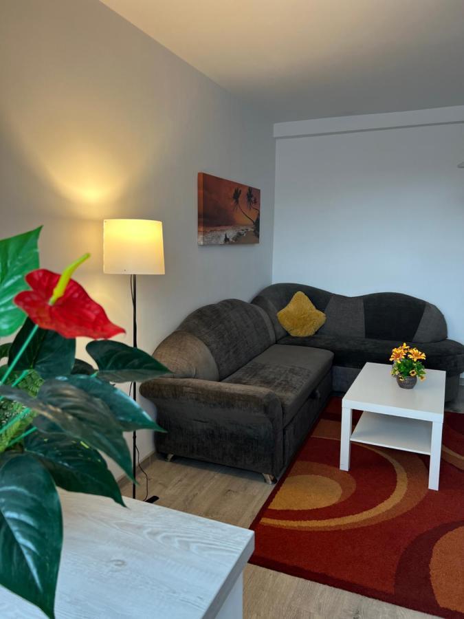 Appartamento House51 Braşov Esterno foto