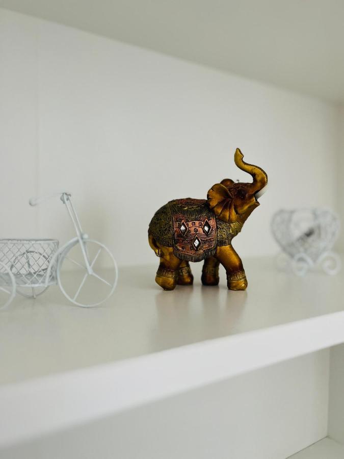 Appartamento House51 Braşov Esterno foto