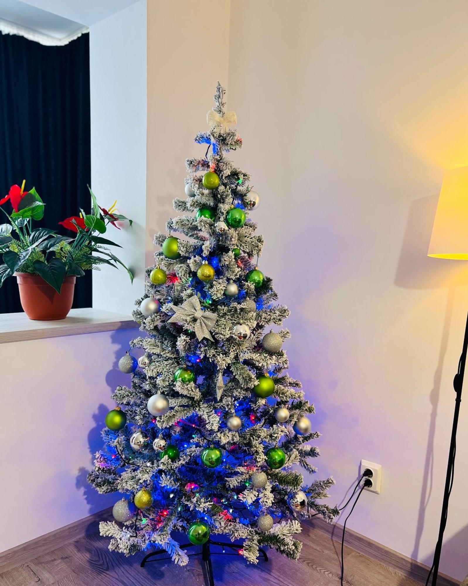 Appartamento House51 Braşov Esterno foto
