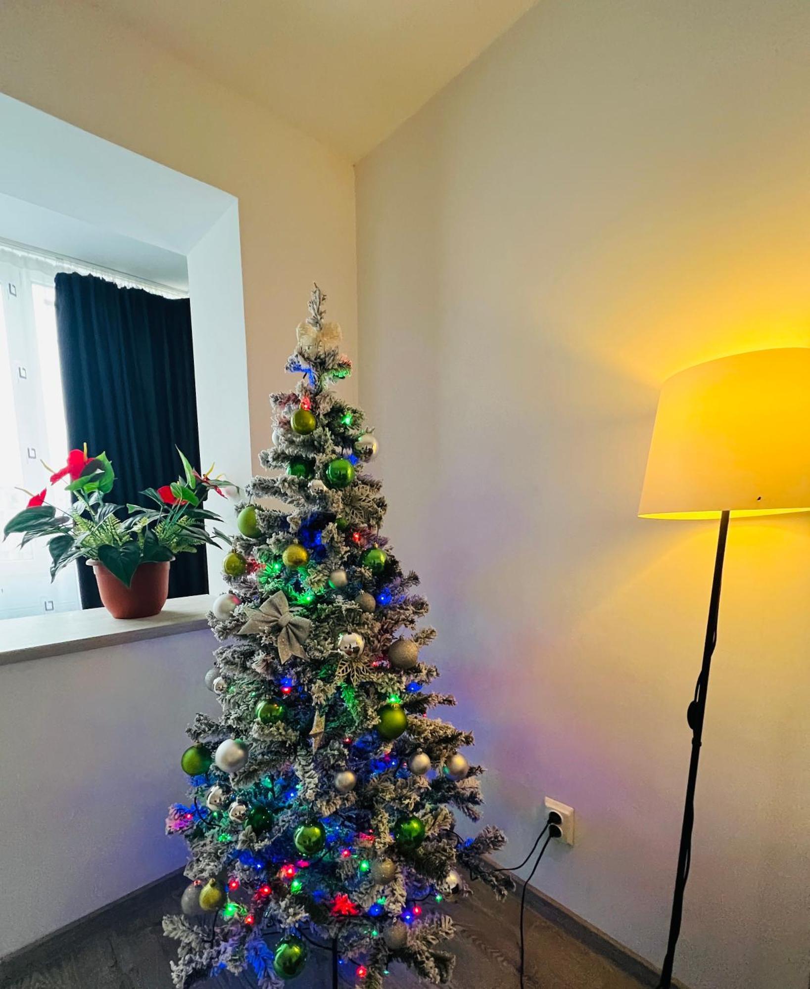 Appartamento House51 Braşov Esterno foto